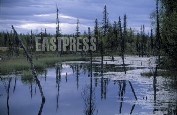 EA025495, Eastpress, Pajala, Ruotsi